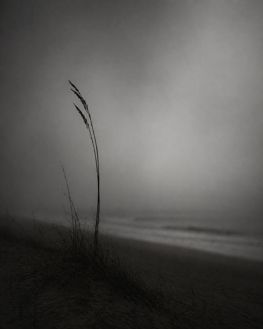 The Space Between | Ultra 1/1