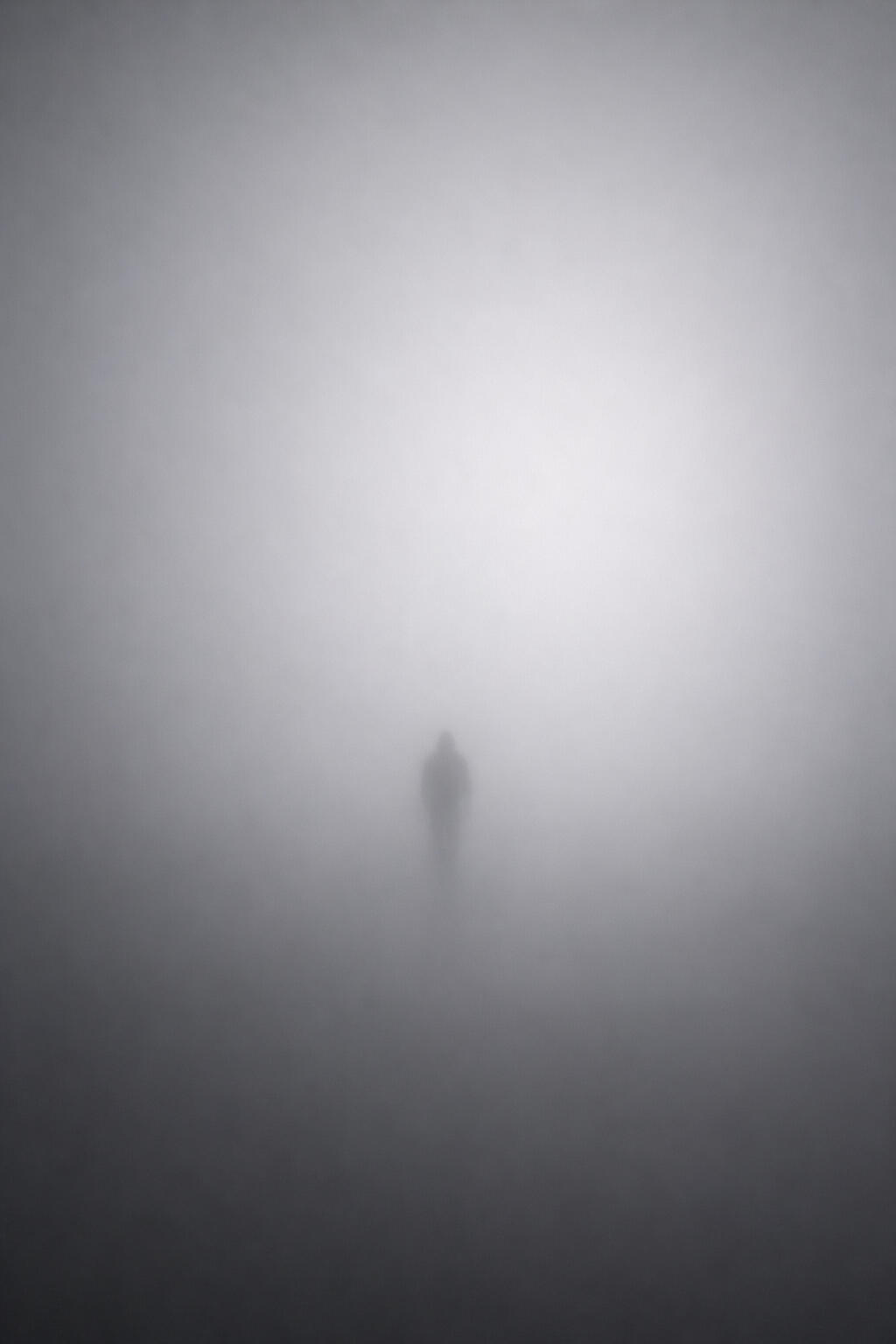 The Fog | Ultra Edition 1/1